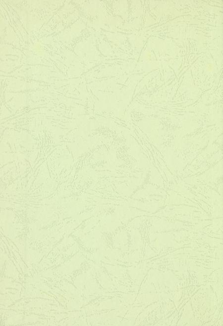 玉环年鉴2008.pdf电子版_浙江省志插图1