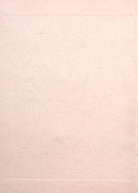 盐城年鉴 2008.pdf电子版_江苏省志插图1