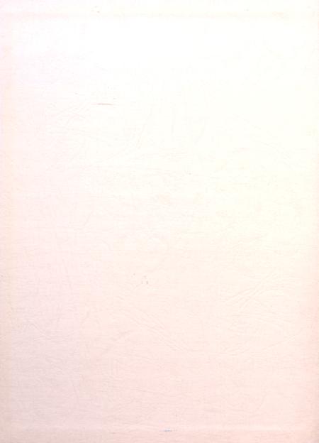 盐城年鉴 2012.pdf电子版_江苏省志插图1