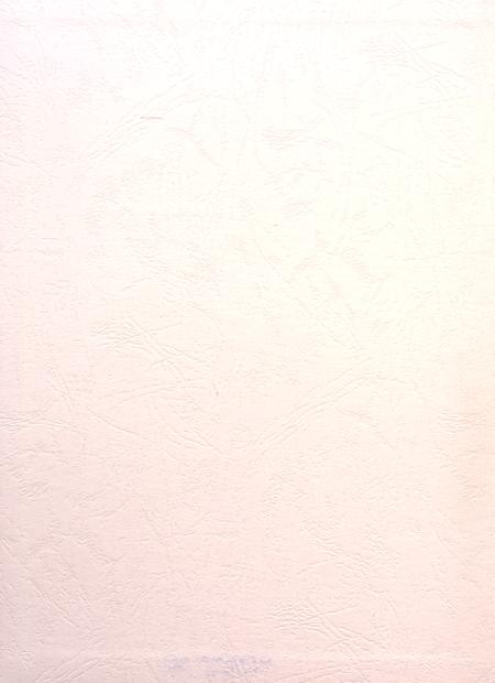 盐城年鉴 2013.pdf电子版_江苏省志插图1