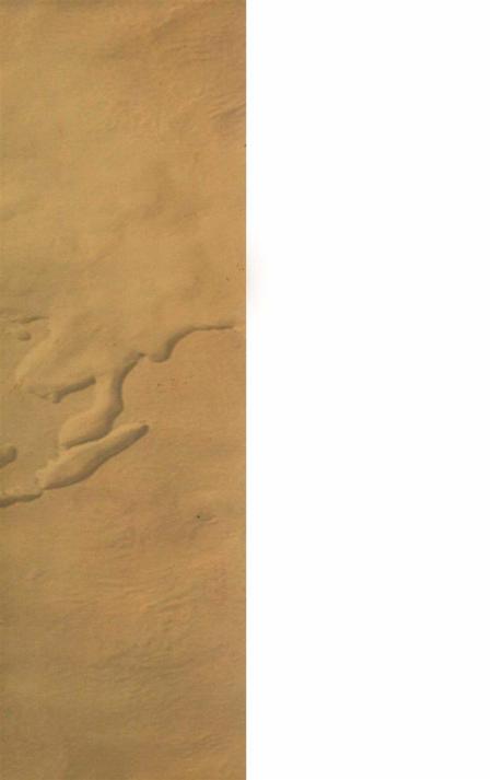 腾越乡土志.pdf电子版_云南省志插图1