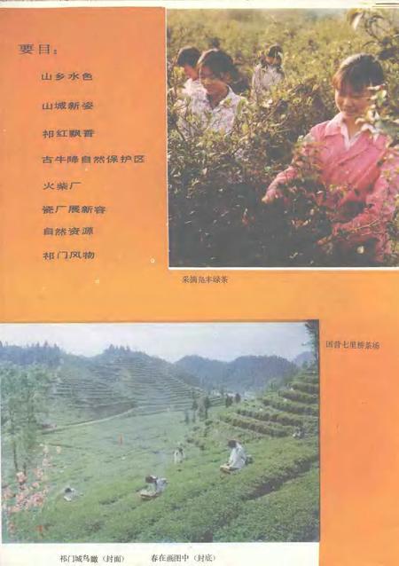 祁门风光.pdf电子版_安徽省志插图1