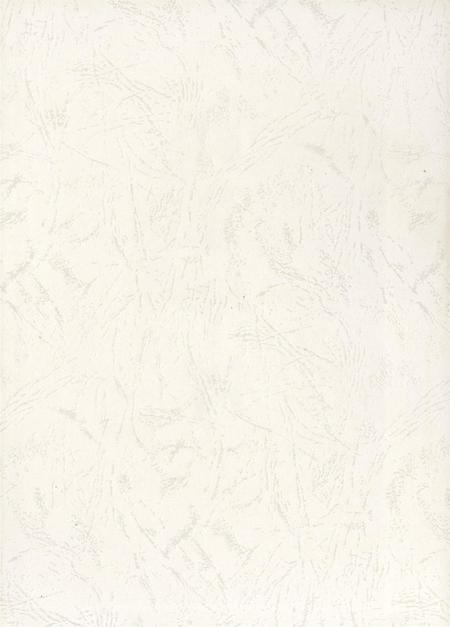 自贡年鉴2010.pdf电子版_四川省志插图1