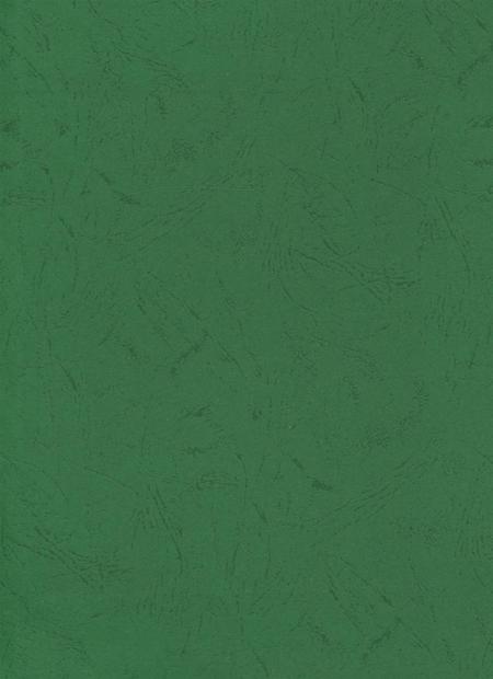 简阳年鉴·2004.pdf电子版_四川省志插图1