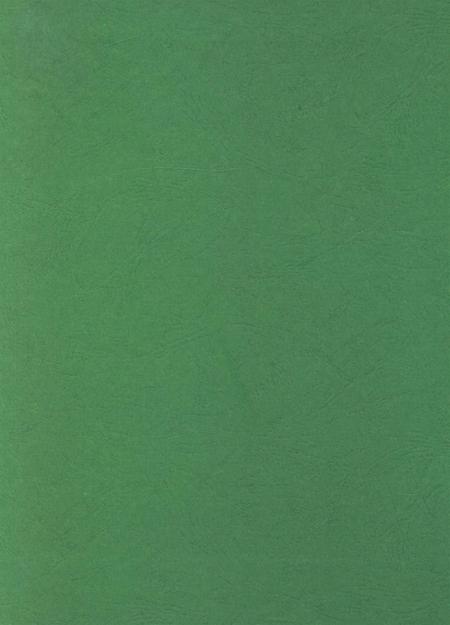 简阳年鉴·2007.pdf电子版_四川省志插图1