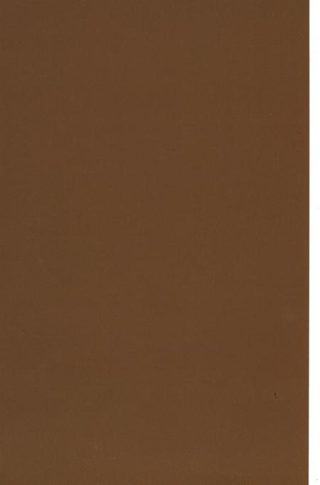 蒙自文史资料（第九辑）.pdf电子版_云南省志插图1