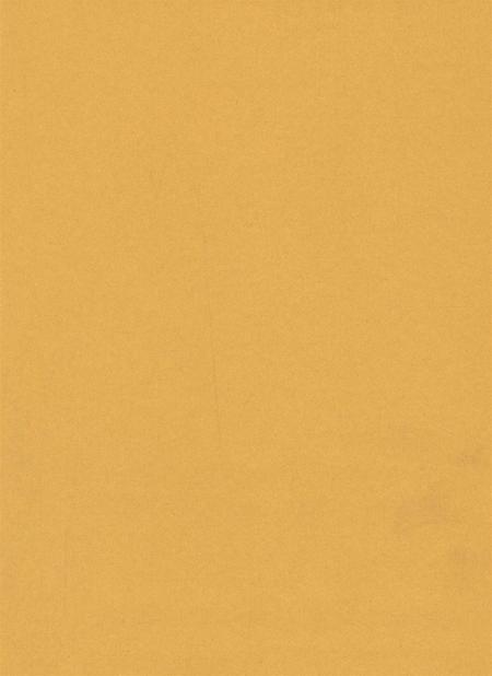 资阳年鉴（2009～2010）.pdf电子版_四川省志插图1