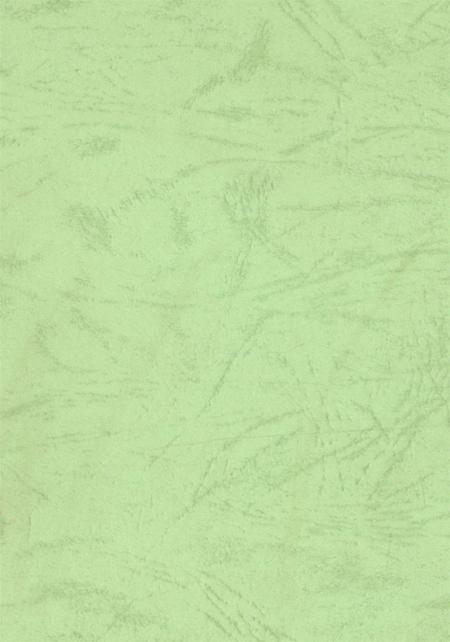 资阳统计年鉴（2000）.pdf电子版_四川省志插图1