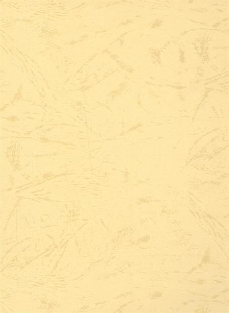 资阳统计年鉴（2004年）.pdf电子版_四川省志插图1