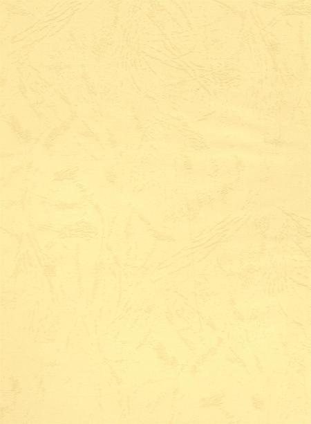 资阳统计年鉴（2005年）.pdf电子版_四川省志插图1