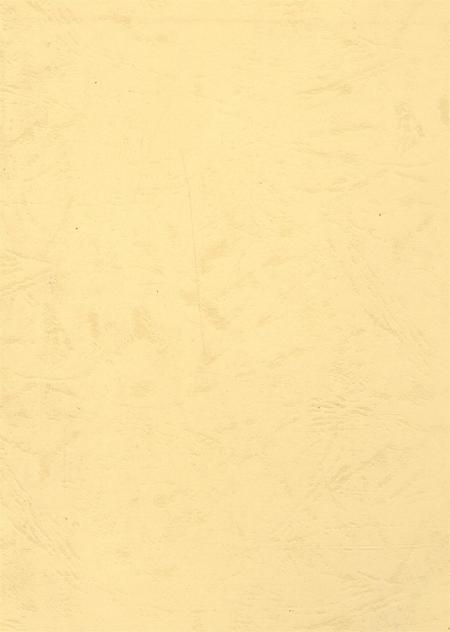 资阳统计年鉴（2006年）.pdf电子版_四川省志插图1