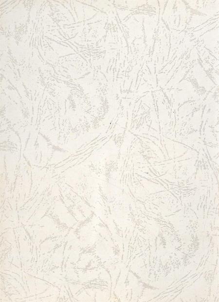 遂宁市粮油志（1996——2005）.pdf电子版_四川省志插图1