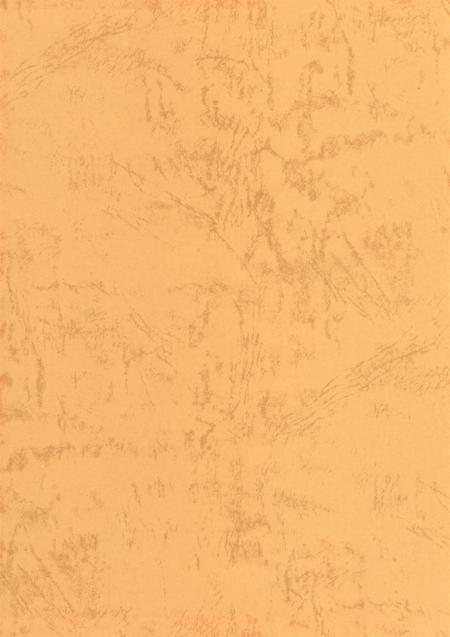 郑州年鉴2001.pdf电子版_四川省志插图1