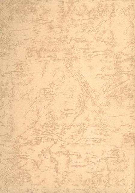 郑州年鉴2002.pdf电子版_四川省志插图1