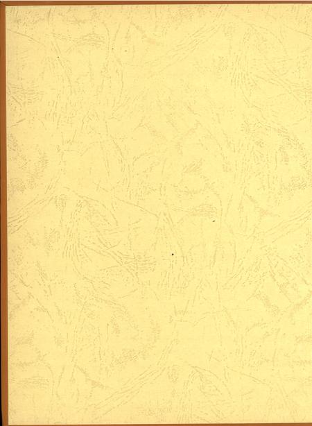 郑州年鉴2007.pdf电子版_四川省志插图1