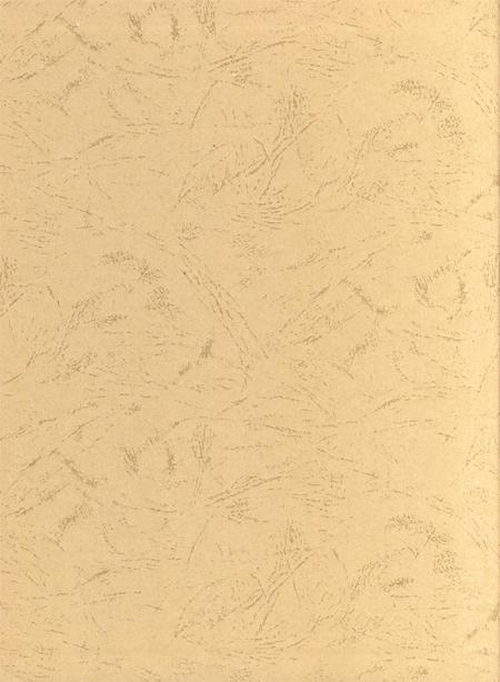 郑州年鉴2010.pdf电子版_四川省志插图1