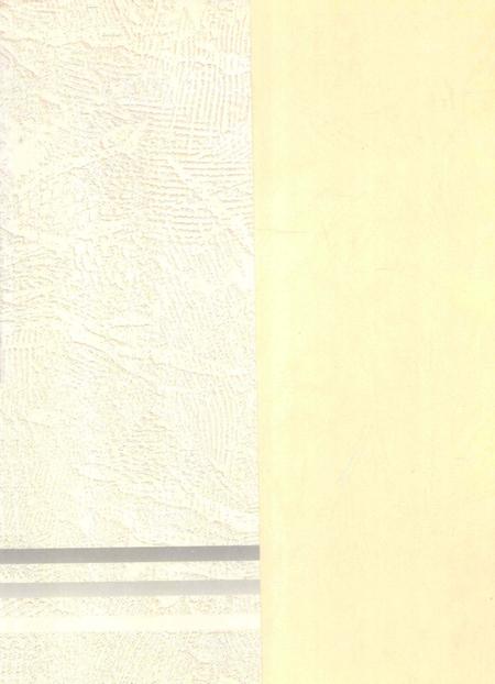 郴州年鉴2001.pdf电子版_湖南省志插图1