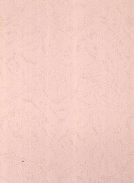 郴州年鉴2009.pdf电子版_湖南省志插图1