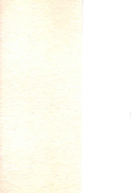 金塔文史资料-第1-8辑合订本-二.pdf电子版_甘肃省志插图1