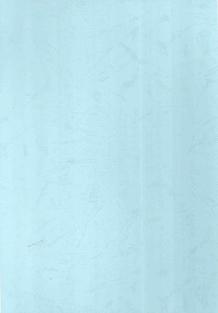 铁道部第五工程局第五工程处志-1974-1999-nan-nan.pdf电子版_其他志插图1