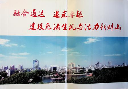 蚌埠市蚌山区志（1946-2007）.pdf电子版_安徽省志插图1