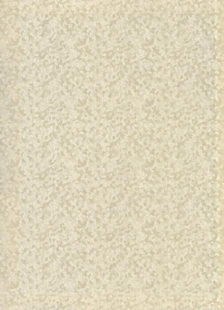 防城港市第三次全国文物普查：文物点名录.pdf电子版_广西壮族自治区志插图1