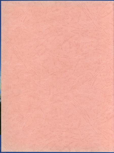 防城港市纪事：1968-2003.pdf电子版_广西壮族自治区志插图1