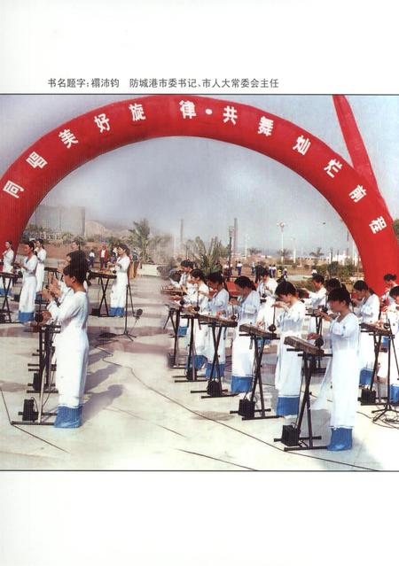 防城港文化遗产从书.非物质文化遗产部分.pdf电子版_广西壮族自治区志插图1