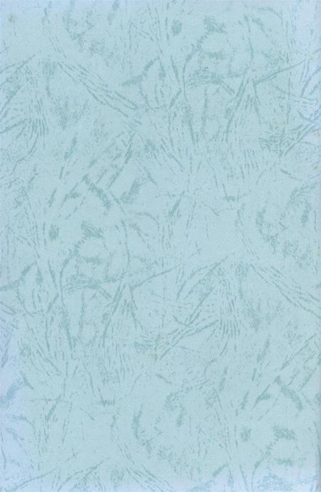 隆昌县轻纺工业志（续）（1996——2002）.pdf电子版_四川省志插图1