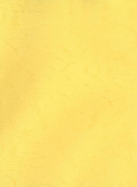 高氏家谱（静宁高家深沟新庄村）.pdf电子版_甘肃省志插图1