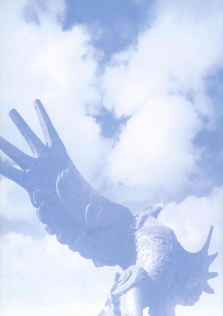 鹰潭年鉴.2010.pdf电子版_江西省志插图1