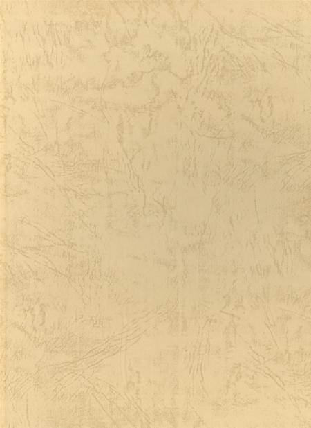 资阳地区年鉴：1998-2000.pdf电子版_四川省志插图1