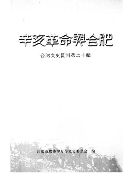 辛亥革命与合肥  第20辑.pdf电子版_安徽省志插图1