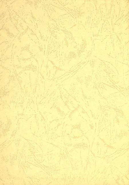 2008中共东营市委纪事.pdf电子版_山东省志插图1