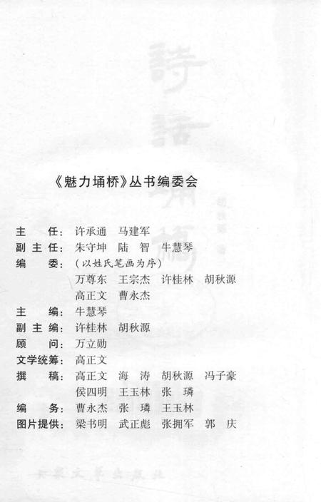 2008版魅力埇桥丛书  诗话埇桥.pdf电子版_安徽省志插图1