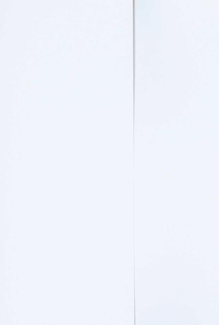 三八五旅在庆阳(上).pdf电子版_甘肃省志插图1