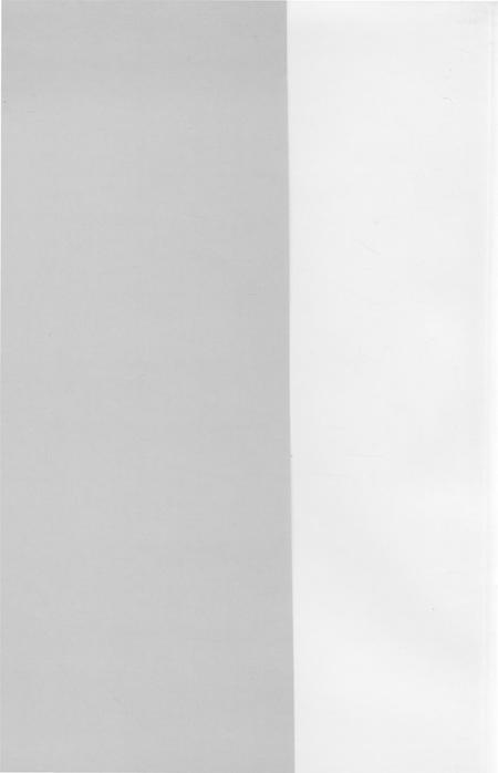 文化大革命时期的铁岭.pdf电子版_辽宁省志插图1