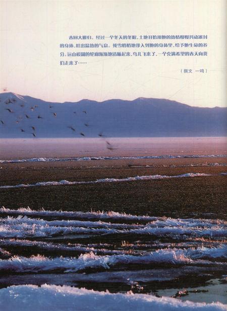 新疆画报2006年第03期.pdf电子版_新疆维吾尔族自治区志插图1