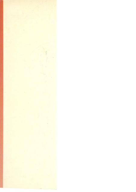 正在崛起的防城港市港口区.pdf电子版_广西壮族自治区志插图1