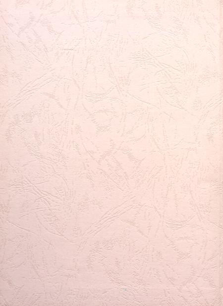 盐城年鉴 2009.pdf电子版_江苏省志插图1