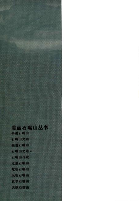 石嘴山之最.pdf电子版_宁夏回族自治区志插图1