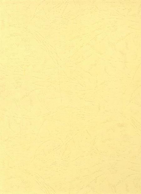 资阳统计年鉴（2003年）.pdf电子版_四川省志插图1