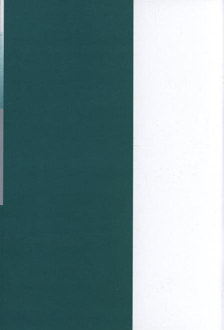 2008年防城港市发展研究报告.pdf电子版_广西壮族自治区志插图1