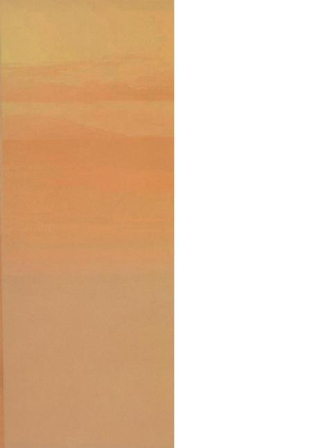 2011年防城港市发展研究报告.pdf电子版_广西壮族自治区志插图1