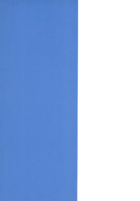 2012年防城港市发展研究报告.pdf电子版_广西壮族自治区志插图1