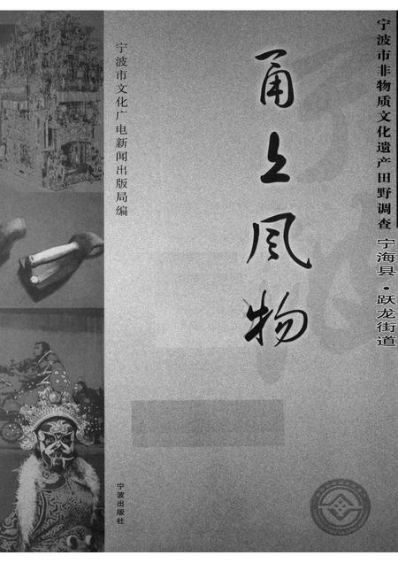 2008-甬上风物：宁波市非物质文化遗产田野调查  宁海县·跃龙镇.pdf电子版_浙江省志插图1