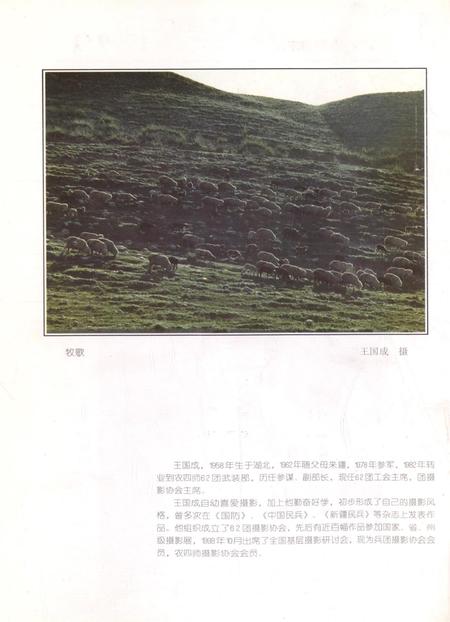 新疆绿洲1999年第01期.pdf电子版_新疆维吾尔族自治区志插图1