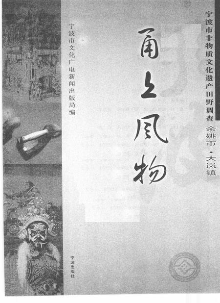 2010-甬上风物  宁波市非物质文化遗产田野调查  余姚市·大岚镇.pdf电子版_浙江省志插图1