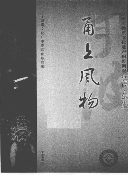 2010-甬上风物  宁波市非物质文化遗产田野调查  江东区·东柳街道.pdf电子版_浙江省志插图1