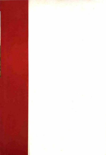 三亚英魂.pdf电子版_海南省志插图1